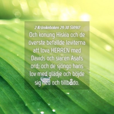 Picture 04 - 2 Krönikeboken 29:30 SV1917 - Och konung Hiskia och de överste befallde - Bible Verse Picture