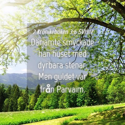 Picture 04 - 2 Krönikeboken 3:6 SV1917 - Därjämte smyckade han huset med dyrbara stenar. - Bible Verse Picture