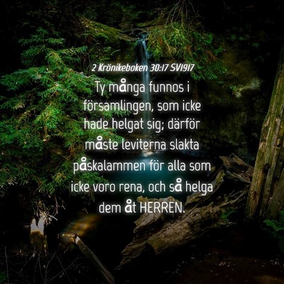 Picture 04 - 2 Krönikeboken 30:17 SV1917 - Ty många funnos i församlingen, som icke hade - Bible Verse Picture