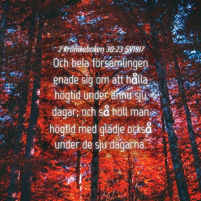 Picture 04 - 2 Krönikeboken 30:23 SV1917 - Och hela församlingen enade sig om att hålla - Bible Verse Picture