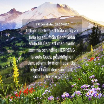 Picture 04 - 2 Krönikeboken 30:5 SV1917 - Och de beslöto att låta utropa i hela Israel, - Bible Verse Picture