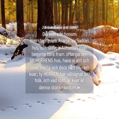 Picture 04 - 2 Krönikeboken 31:10 SV1917 - Då svarade honom översteprästen Asarja, av - Bible Verse Picture