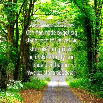 Picture 04 - 2 Krönikeboken 32:29 SV1917 - Och han hade byggt sig städer och förvärvat - Bible Verse Picture