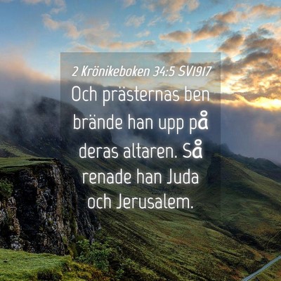 Picture 04 - 2 Krönikeboken 34:5 SV1917 - Och prästernas ben brände han upp på deras - Bible Verse Picture