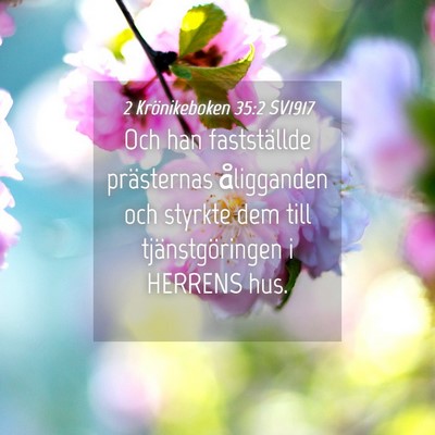 Picture 04 - 2 Krönikeboken 35:2 SV1917 - Och han fastställde prästernas åligganden och - Bible Verse Picture