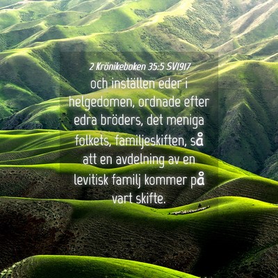 Picture 04 - 2 Krönikeboken 35:5 SV1917 - och inställen eder i helgedomen, ordnade efter - Bible Verse Picture