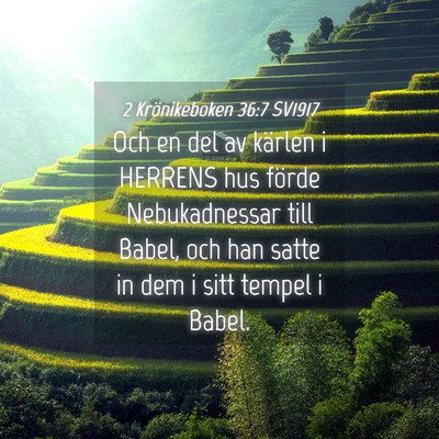 Picture 04 - 2 Krönikeboken 36:7 SV1917 - Och en del av kärlen i HERRENS hus förde - Bible Verse Picture