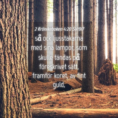 Picture 04 - 2 Krönikeboken 4:20 SV1917 - så ock ljusstakarna med sina lampor, som skulle - Bible Verse Picture