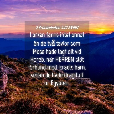 Picture 04 - 2 Krönikeboken 5:10 SV1917 - I arken fanns intet annat än de två tavlor som - Bible Verse Picture