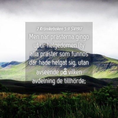 Picture 04 - 2 Krönikeboken 5:11 SV1917 - Men när prästerna gingo ut ur helgedomen (ty - Bible Verse Picture