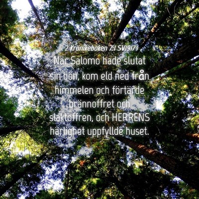 Picture 04 - 2 Krönikeboken 7:1 SV1917 - När Salomo hade slutat sin bön, kom eld ned - Bible Verse Picture