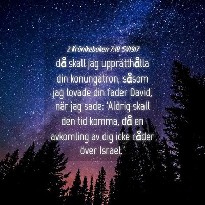 Picture 04 - 2 Krönikeboken 7:18 SV1917 - då skall jag upprätthålla din konungatron, - Bible Verse Picture