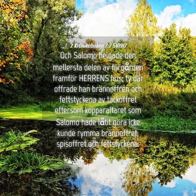 Picture 04 - 2 Krönikeboken 7:7 SV1917 - Och Salomo helgade den mellersta delen av - Bible Verse Picture