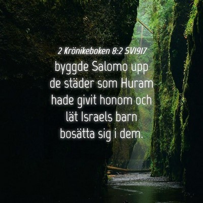 Picture 04 - 2 Krönikeboken 8:2 SV1917 - byggde Salomo upp de städer som Huram hade givit - Bible Verse Picture