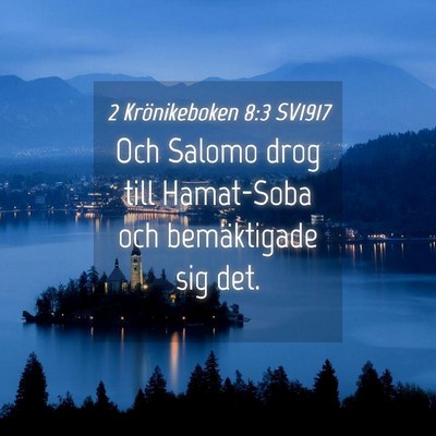 Picture 04 - 2 Krönikeboken 8:3 SV1917 - Och Salomo drog till Hamat-Soba och bemäktigade - Bible Verse Picture