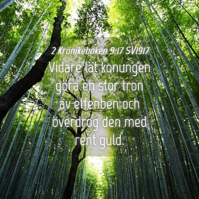 Picture 04 - 2 Krönikeboken 9:17 SV1917 - Vidare lät konungen göra en stor tron av - Bible Verse Picture