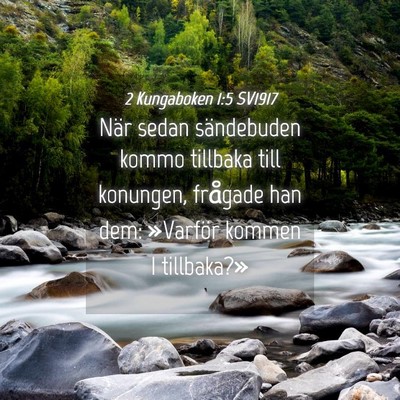 Picture 04 - 2 Kungaboken 1:5 SV1917 - När sedan sändebuden kommo tillbaka till - Bible Verse Picture