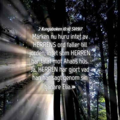Picture 04 - 2 Kungaboken 10:10 SV1917 - Märken nu huru intet av HERRENS ord faller till - Bible Verse Picture