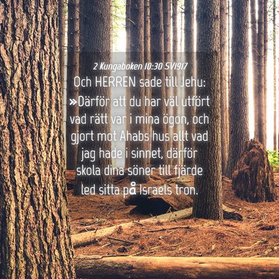 Picture 04 - 2 Kungaboken 10:30 SV1917 - Och HERREN sade till Jehu: »Därför att du har - Bible Verse Picture