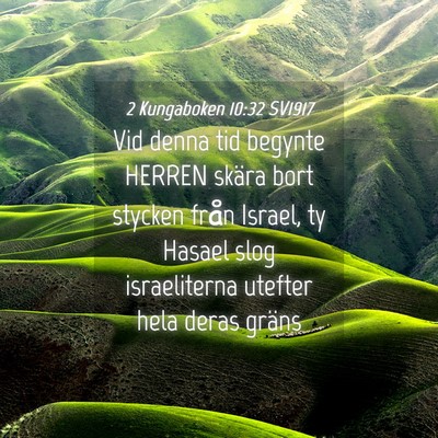 Picture 04 - 2 Kungaboken 10:32 SV1917 - Vid denna tid begynte HERREN skära bort stycken - Bible Verse Picture