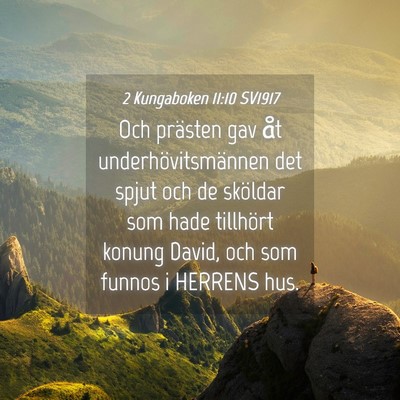 Picture 04 - 2 Kungaboken 11:10 SV1917 - Och prästen gav åt underhövitsmännen det - Bible Verse Picture