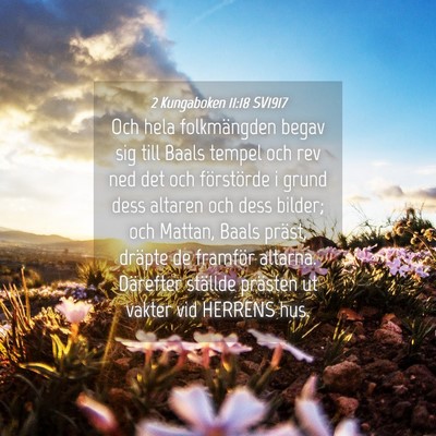 Picture 04 - 2 Kungaboken 11:18 SV1917 - Och hela folkmängden begav sig till Baals tempel - Bible Verse Picture