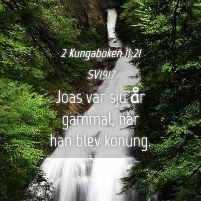 Picture 04 - 2 Kungaboken 11:21 SV1917 - Joas var sju år gammal, när han blev - Bible Verse Picture