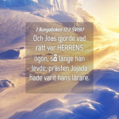 Picture 04 - 2 Kungaboken 12:2 SV1917 - Och Joas gjorde vad rätt var HERRENS ögon, så - Bible Verse Picture