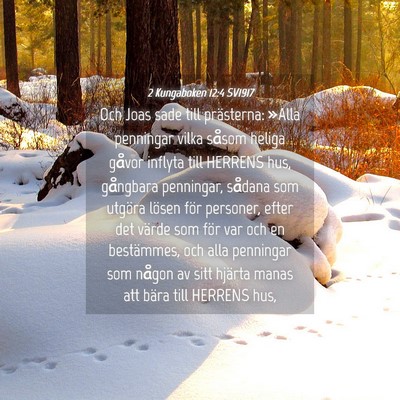 Picture 04 - 2 Kungaboken 12:4 SV1917 - Och Joas sade till prästerna: »Alla penningar - Bible Verse Picture