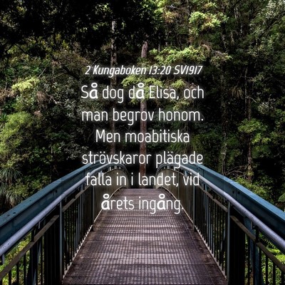 Picture 04 - 2 Kungaboken 13:20 SV1917 - Så dog då Elisa, och man begrov honom. Men - Bible Verse Picture