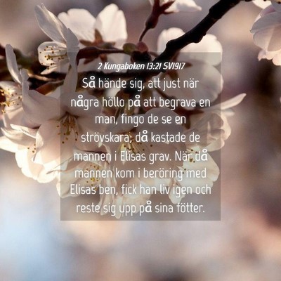 Picture 04 - 2 Kungaboken 13:21 SV1917 - Så hände sig, att just när några höllo på - Bible Verse Picture