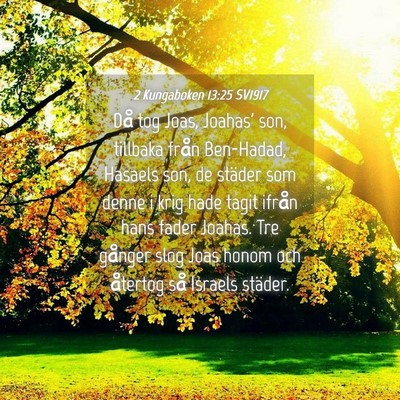 Picture 04 - 2 Kungaboken 13:25 SV1917 - Då tog Joas, Joahas' son, tillbaka från - Bible Verse Picture