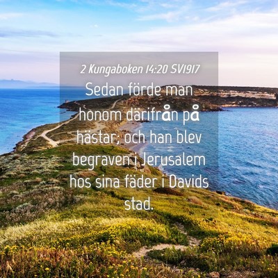 Picture 04 - 2 Kungaboken 14:20 SV1917 - Sedan förde man honom därifrån på hästar; - Bible Verse Picture