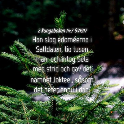 Picture 04 - 2 Kungaboken 14:7 SV1917 - Han slog edoméerna i Saltdalen, tio tusen man, - Bible Verse Picture