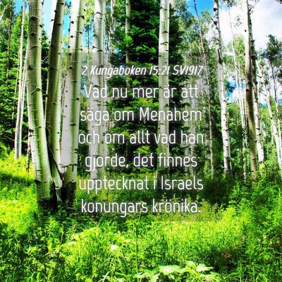 Picture 04 - 2 Kungaboken 15:21 SV1917 - Vad nu mer är att säga om Menahem och om allt - Bible Verse Picture