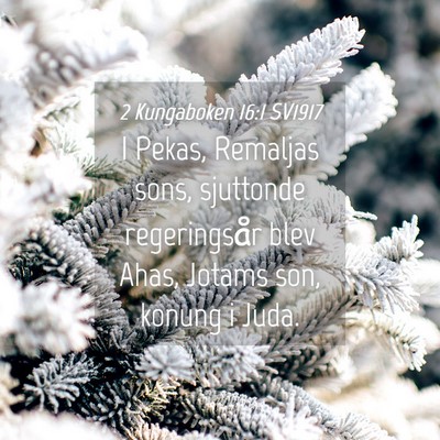 Picture 04 - 2 Kungaboken 16:1 SV1917 - I Pekas, Remaljas sons, sjuttonde regeringsår - Bible Verse Picture