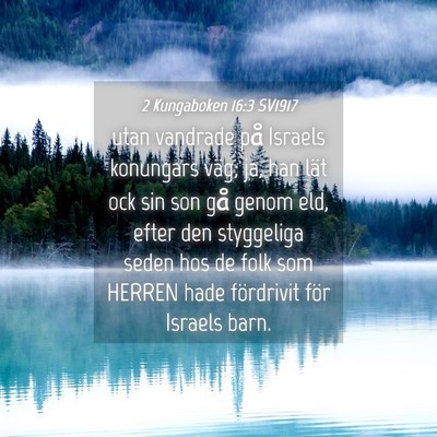 Picture 04 - 2 Kungaboken 16:3 SV1917 - utan vandrade på Israels konungars väg; ja, han - Bible Verse Picture