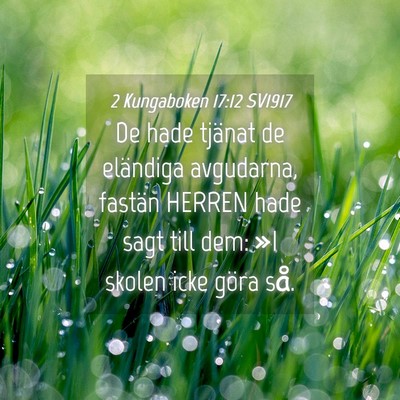 Picture 04 - 2 Kungaboken 17:12 SV1917 - De hade tjänat de eländiga avgudarna, fastän - Bible Verse Picture