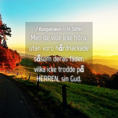 Picture 04 - 2 Kungaboken 17:14 SV1917 - Men de ville icke höra, utan voro hårdnackade - Bible Verse Picture