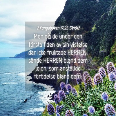 Picture 04 - 2 Kungaboken 17:25 SV1917 - Men då de under den första tiden av sin - Bible Verse Picture