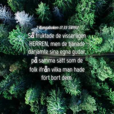 Picture 04 - 2 Kungaboken 17:33 SV1917 - Så fruktade de visserligen HERREN, men de - Bible Verse Picture