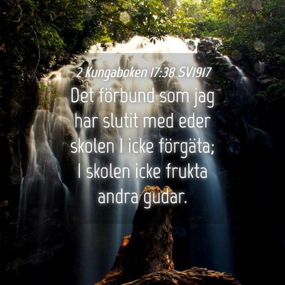 Picture 04 - 2 Kungaboken 17:38 SV1917 - Det förbund som jag har slutit med eder skolen I - Bible Verse Picture