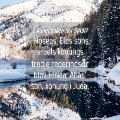 Picture 04 - 2 Kungaboken 18:1 SV1917 - I Hoseas, Elas sons, Israels konungs, tredje - Bible Verse Picture