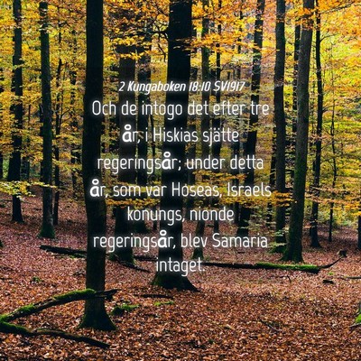 Picture 04 - 2 Kungaboken 18:10 SV1917 - Och de intogo det efter tre år, i Hiskias - Bible Verse Picture