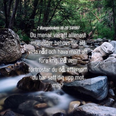 Picture 04 - 2 Kungaboken 18:20 SV1917 - Du menar väl att allenast munväder behövs för - Bible Verse Picture