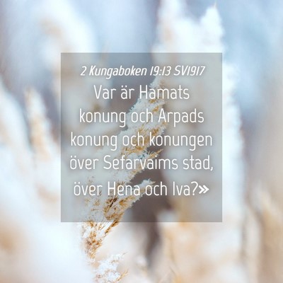 Picture 04 - 2 Kungaboken 19:13 SV1917 - Var är Hamats konung och Arpads konung och - Bible Verse Picture