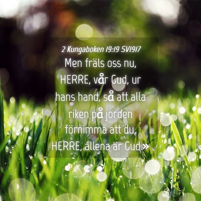 Picture 04 - 2 Kungaboken 19:19 SV1917 - Men fräls oss nu, HERRE, vår Gud, ur hans hand, - Bible Verse Picture