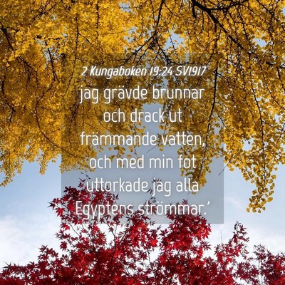 Picture 04 - 2 Kungaboken 19:24 SV1917 - jag grävde brunnar och drack ut främmande - Bible Verse Picture