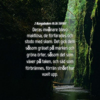Picture 04 - 2 Kungaboken 19:26 SV1917 - Deras invånare blevo maktlösa, de förfärades - Bible Verse Picture