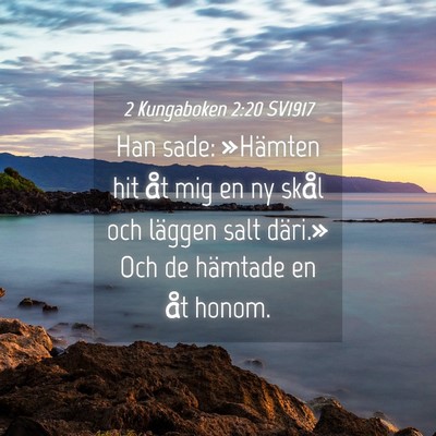 Picture 04 - 2 Kungaboken 2:20 SV1917 - Han sade: »Hämten hit åt mig en ny skål och - Bible Verse Picture